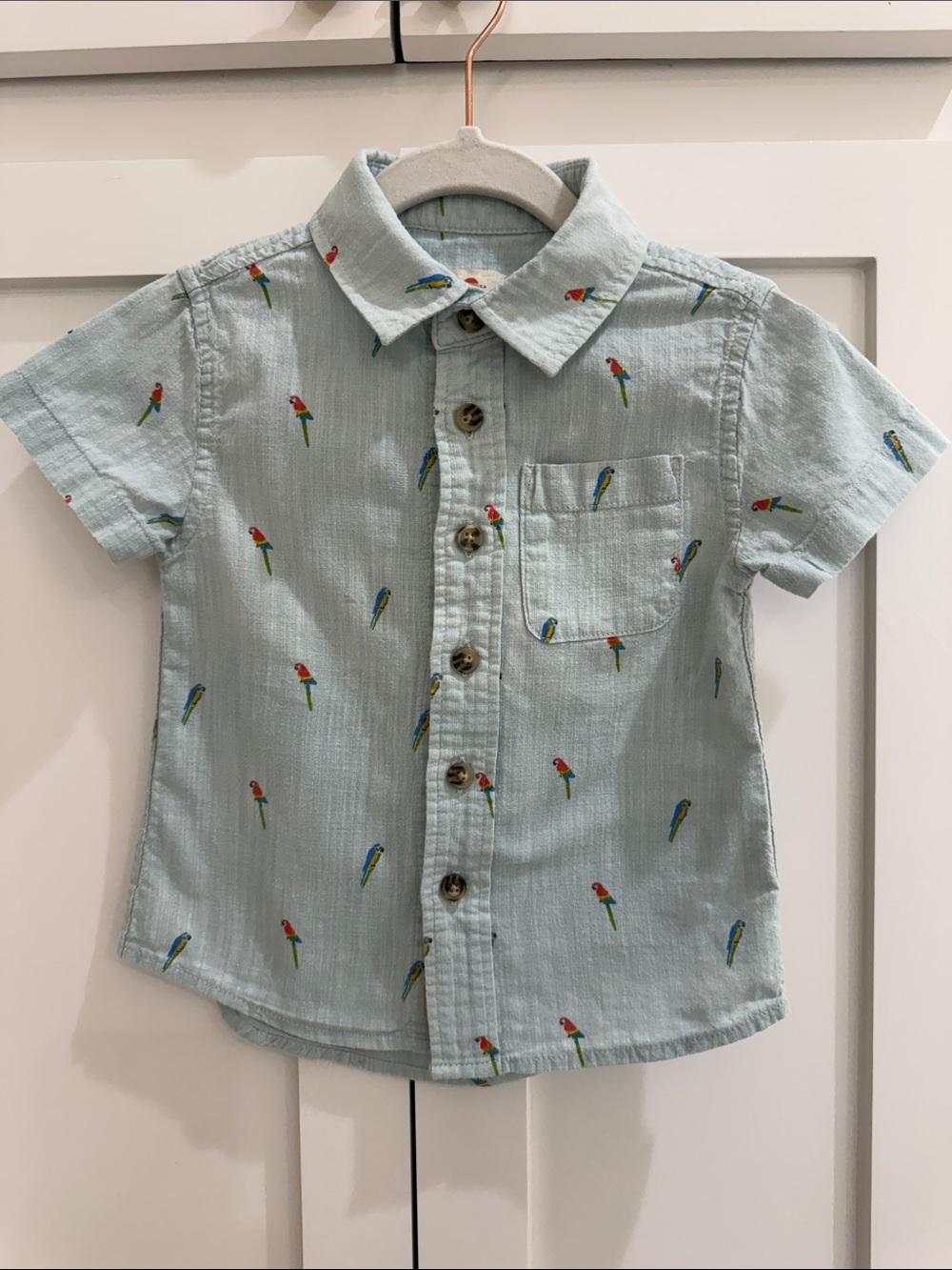 Marine Layer ML Mini Light Blue Parrot Print Short Sleeve Button Down 2T